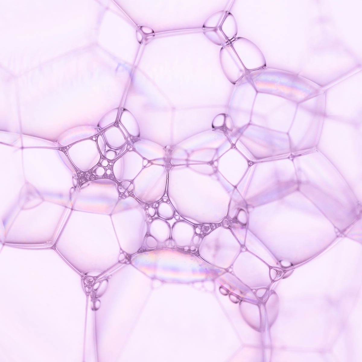 Connection