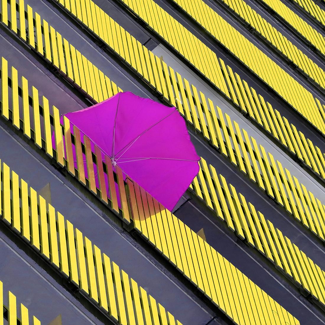 Strictly COLORS