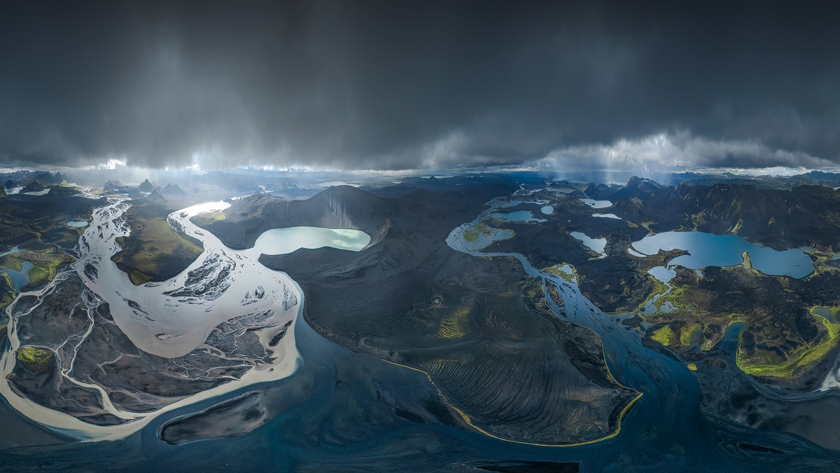 Wild Kingdoms