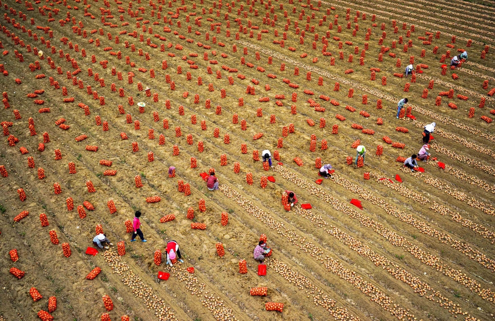Our Farmhers, Our Mothers