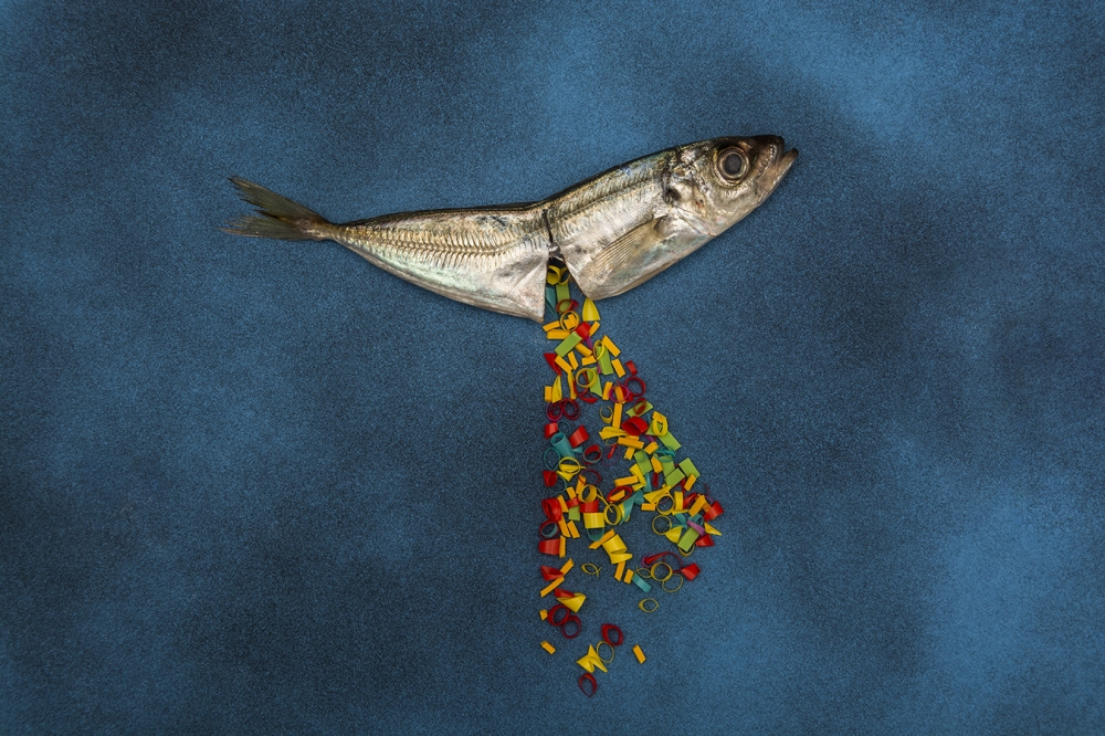Plastic, one enemy?