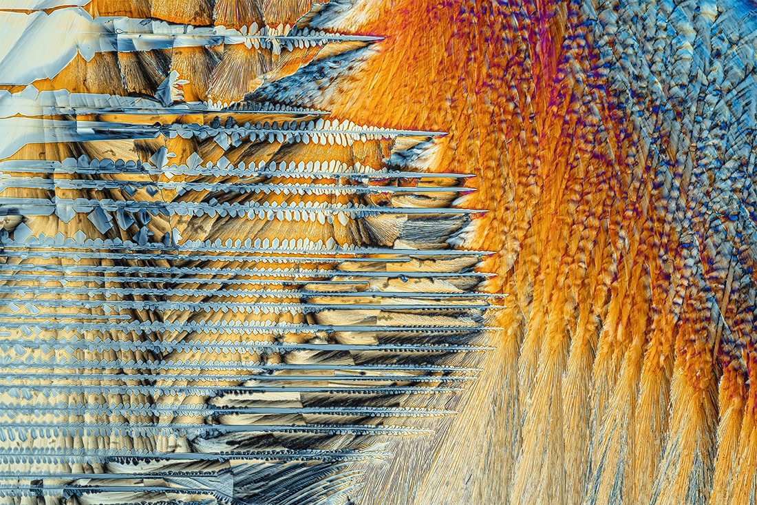 MICROCRYSTALS IN POLARIZED LIGHT, a mixture of urea and resorcinol in a magnification scale of 20x / magnification approx. 250:1.