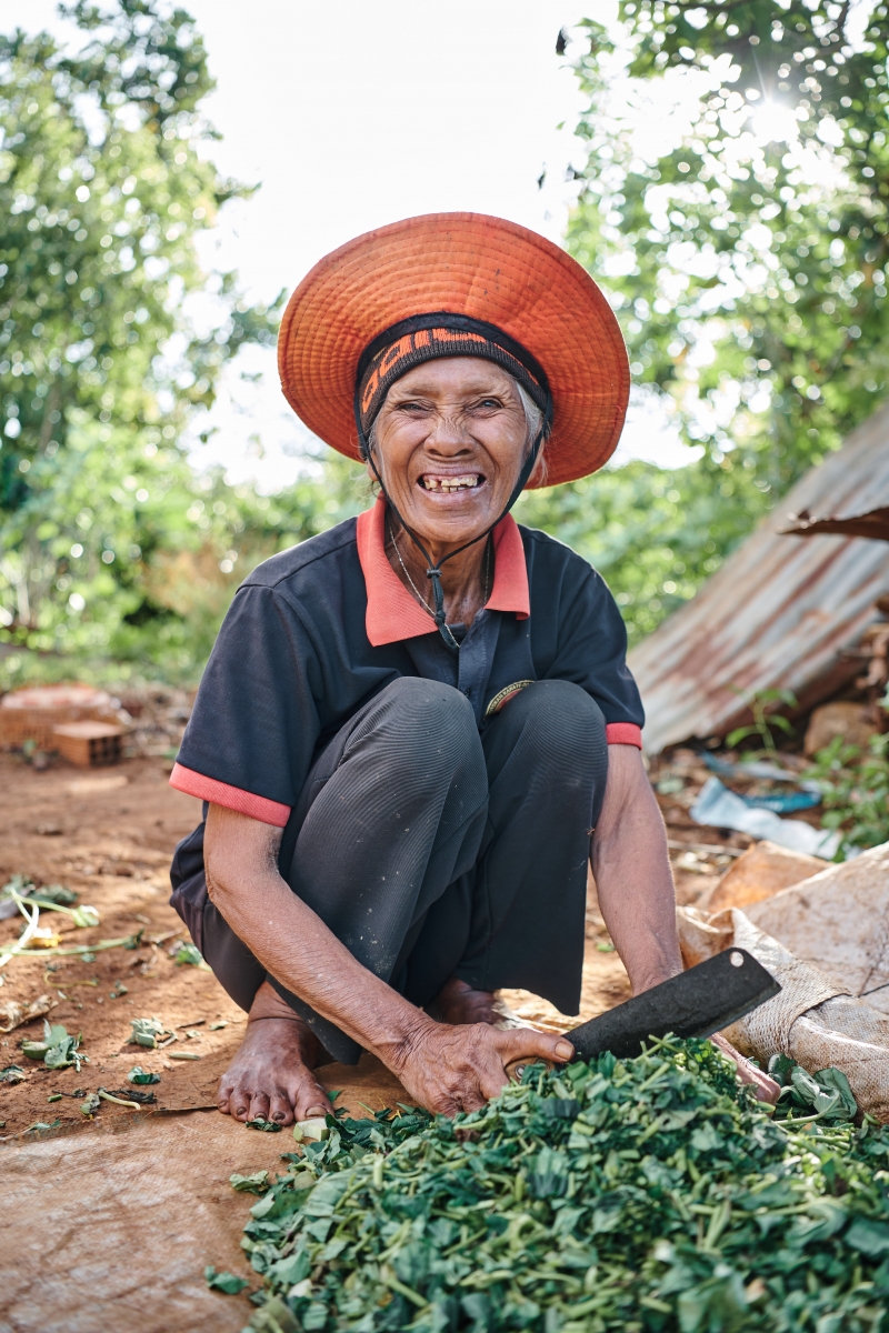 Vietnam Harvest 2023: Capturing the Beauty of the Harvest & People