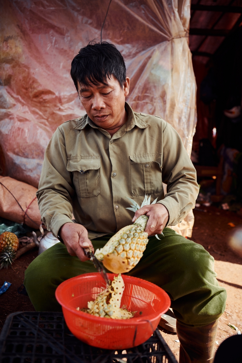 Vietnam Harvest 2023: Capturing the Beauty of the Harvest & People