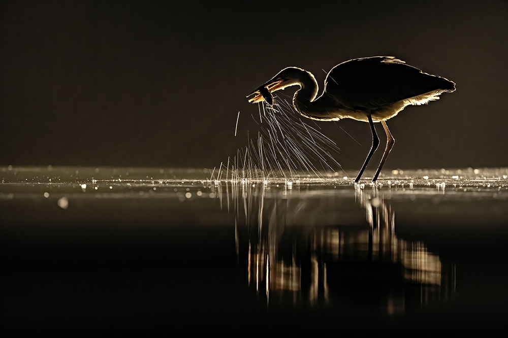 Play with light