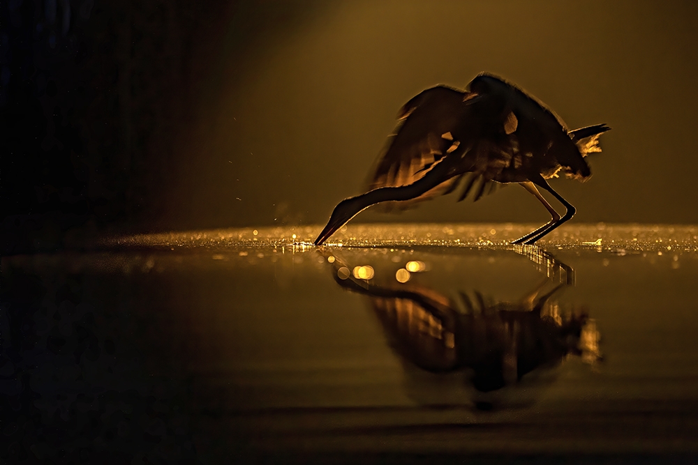 Play with light