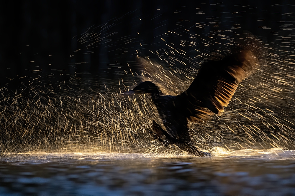 Play with light