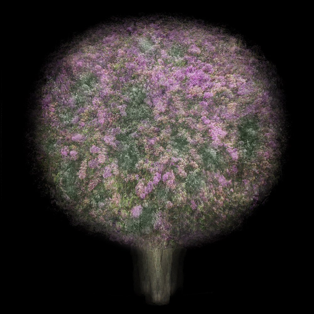Multi-angled, Multi-opacity, 360-Degree Trees