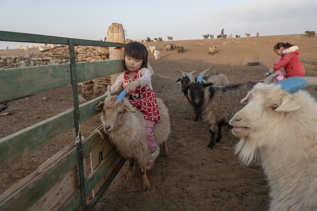 1.5°C - Dealing With Desertification