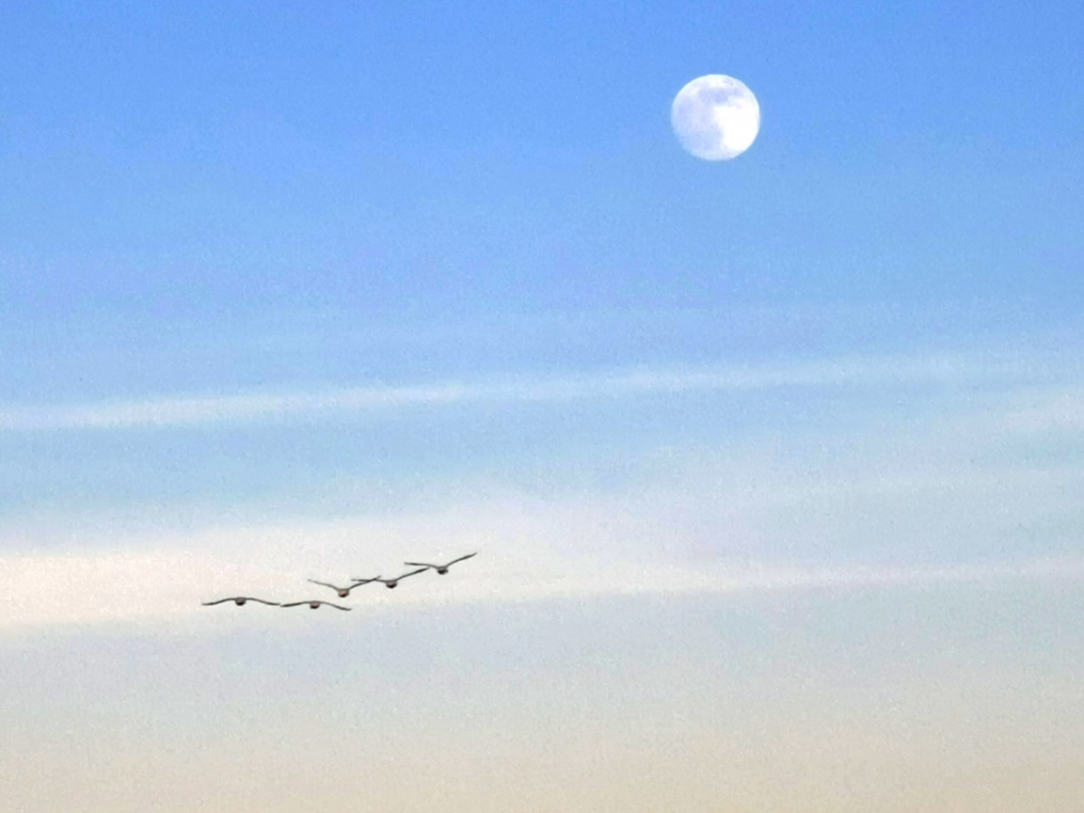 ~ Longing ~
