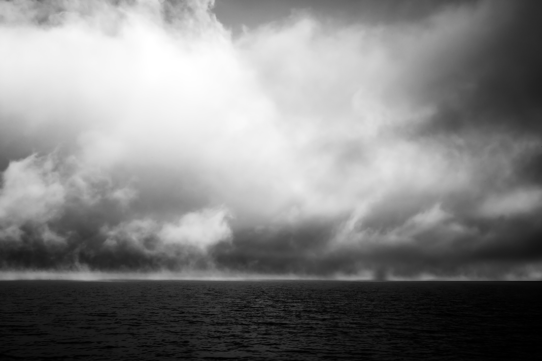 The contrasts of the lake