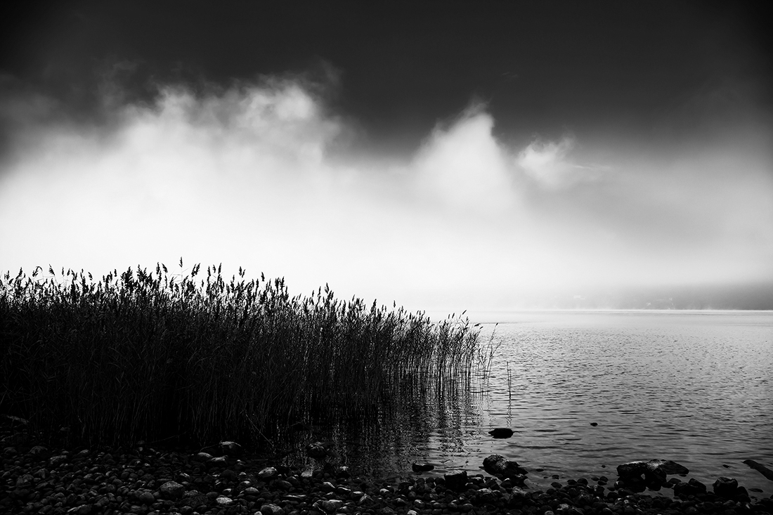 The contrasts of the lake