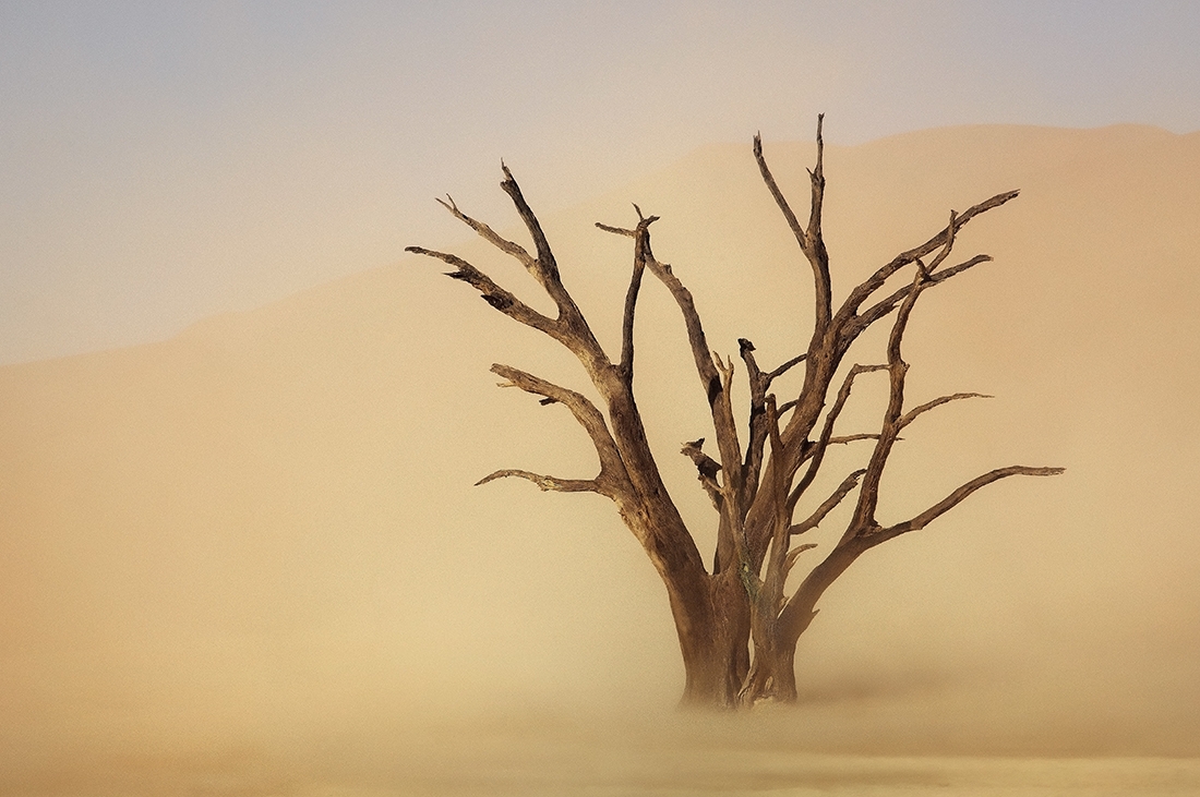 Sossusvlei Sandstorm