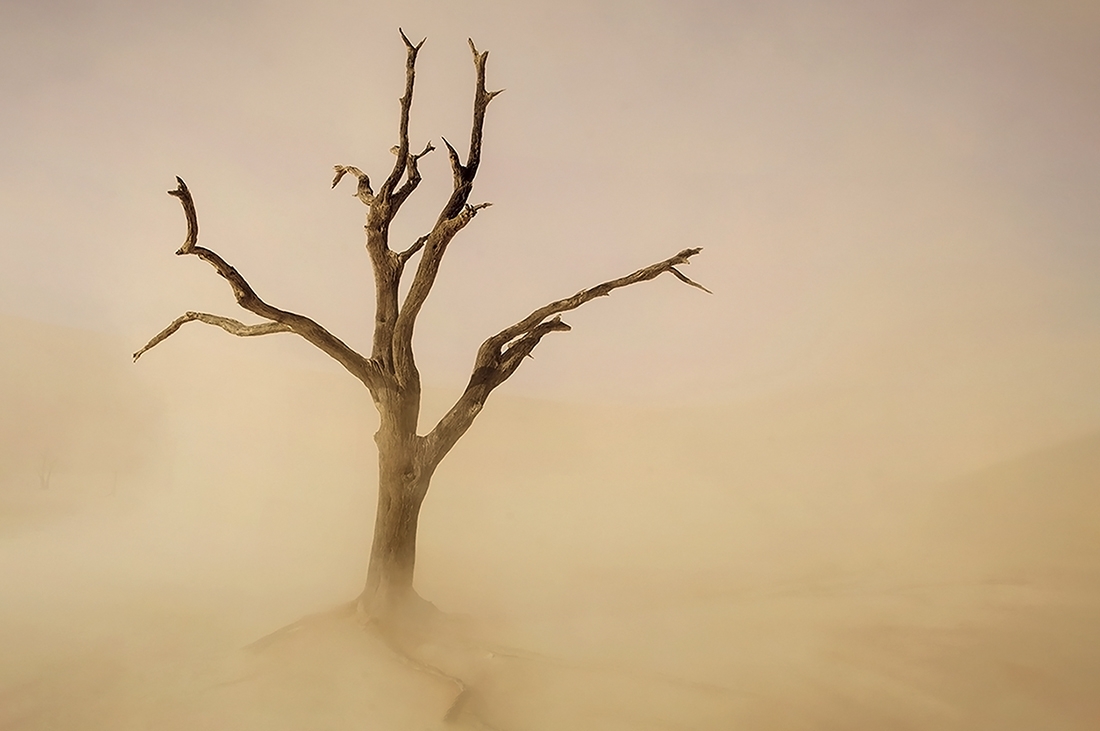 Sossusvlei Sandstorm