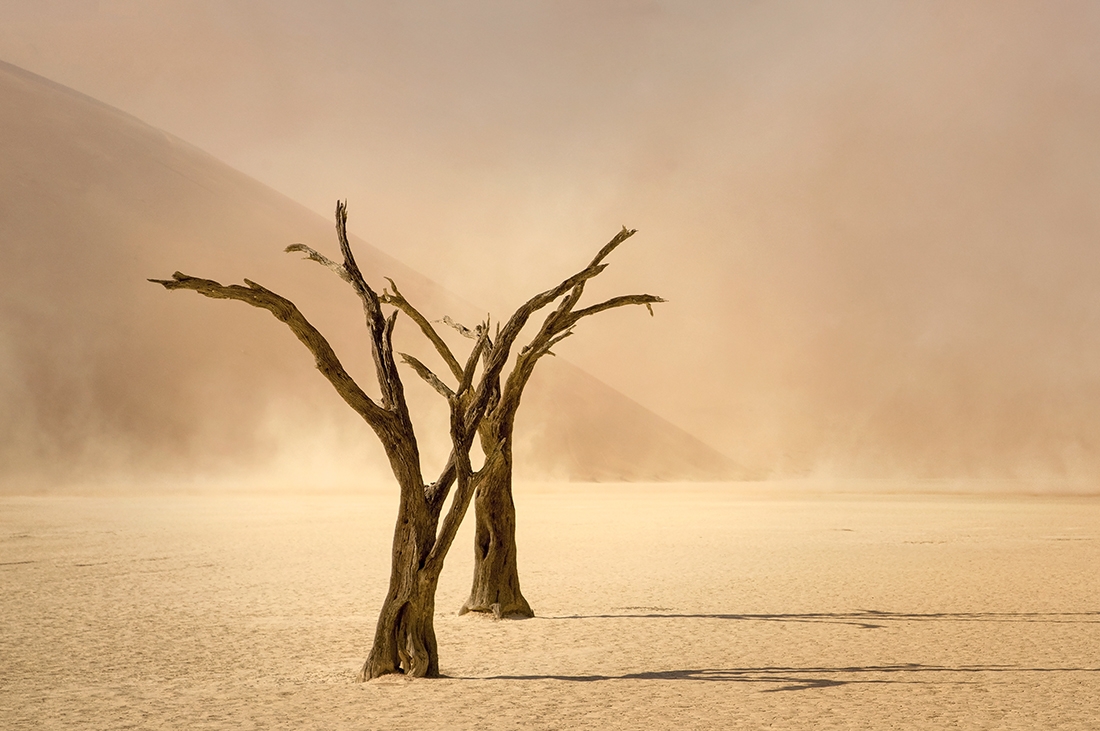 Sossusvlei Sandstorm