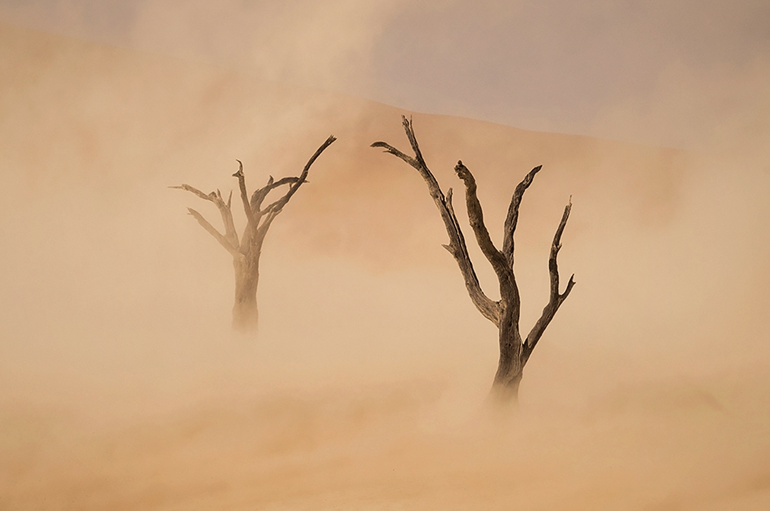 Sossusvlei Sandstorm
