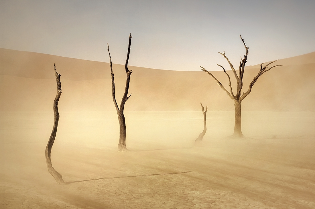 Sossusvlei Sandstorm