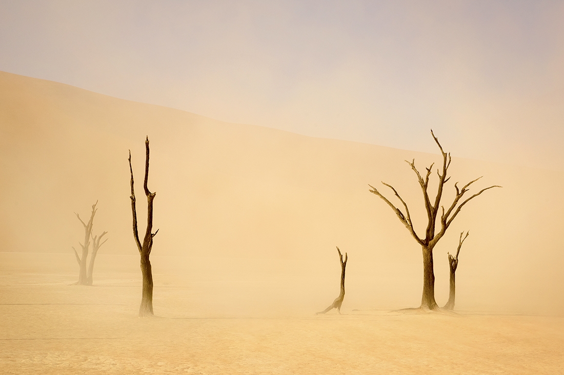Sossusvlei Sandstorm
