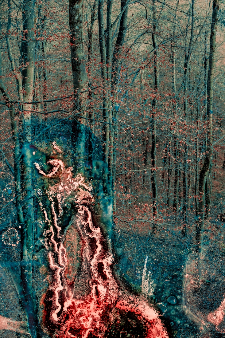 Homo reconnectus
