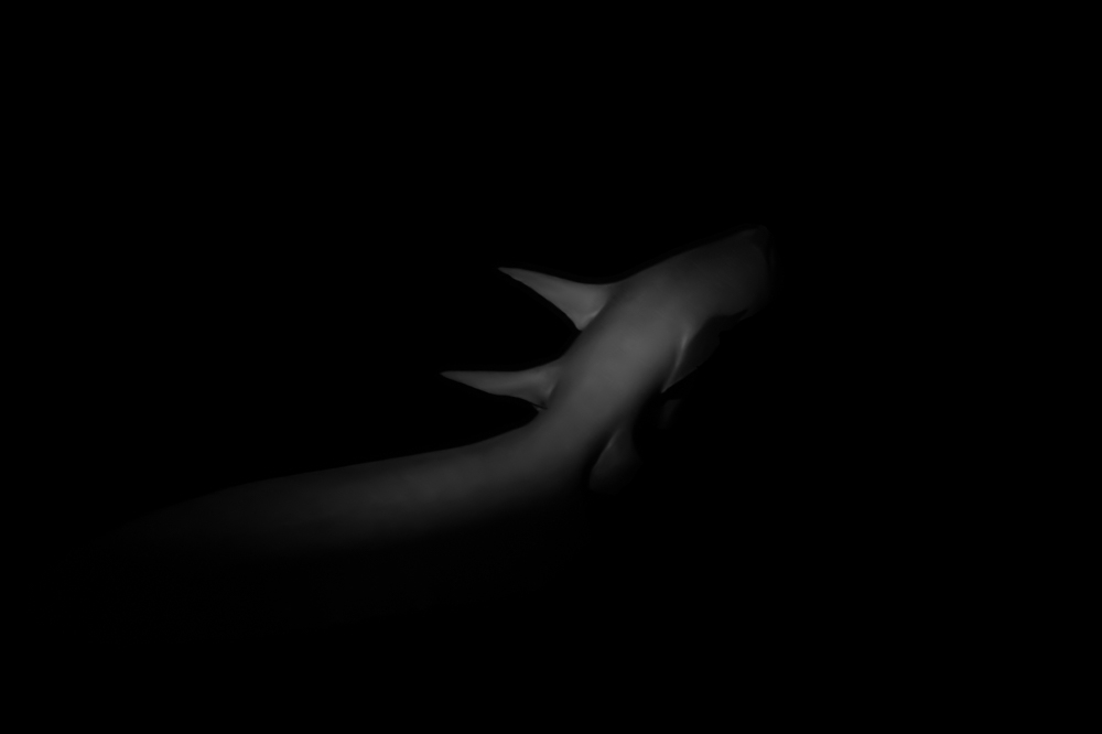 The shape of night
