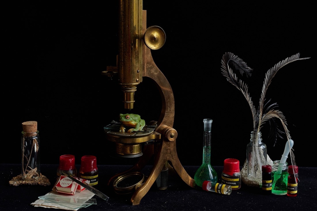 Live Still Life