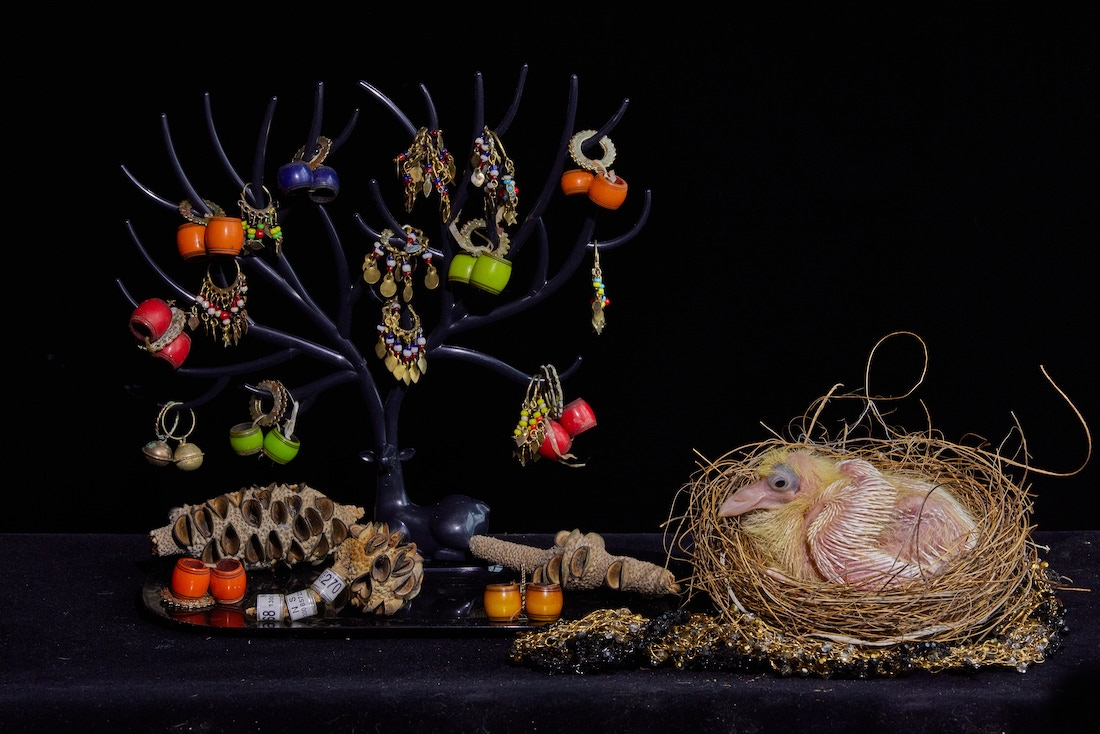 Live Still Life