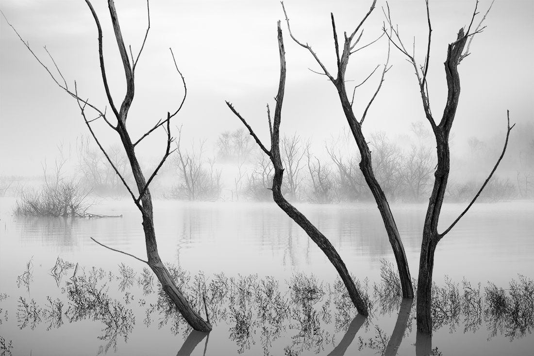 Little lake