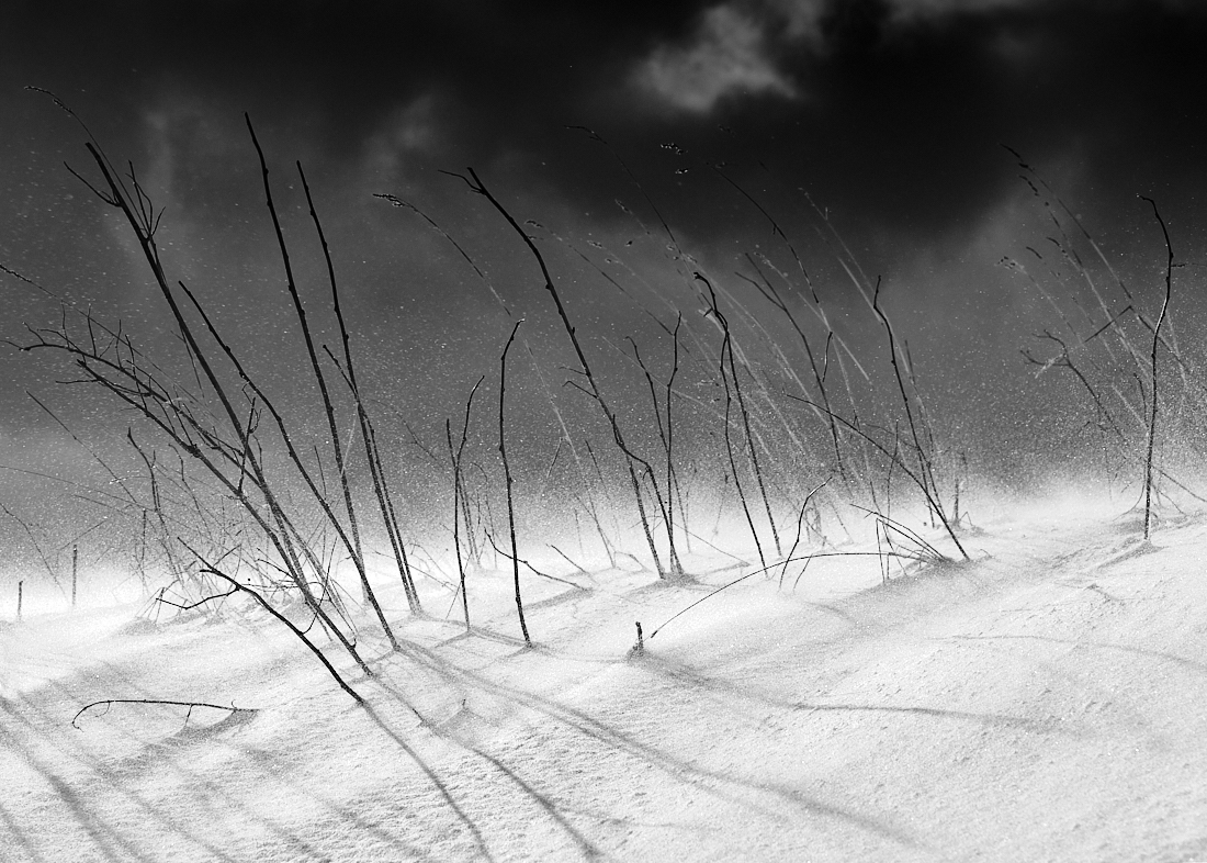 blizzard