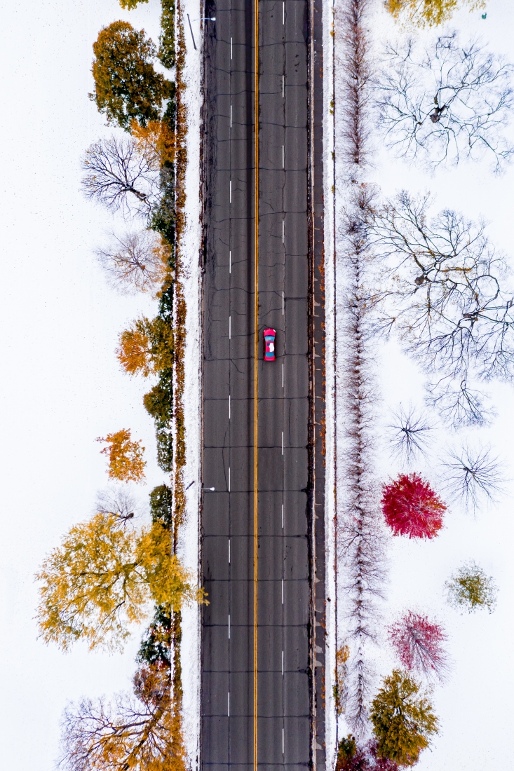 Winter wonderland 