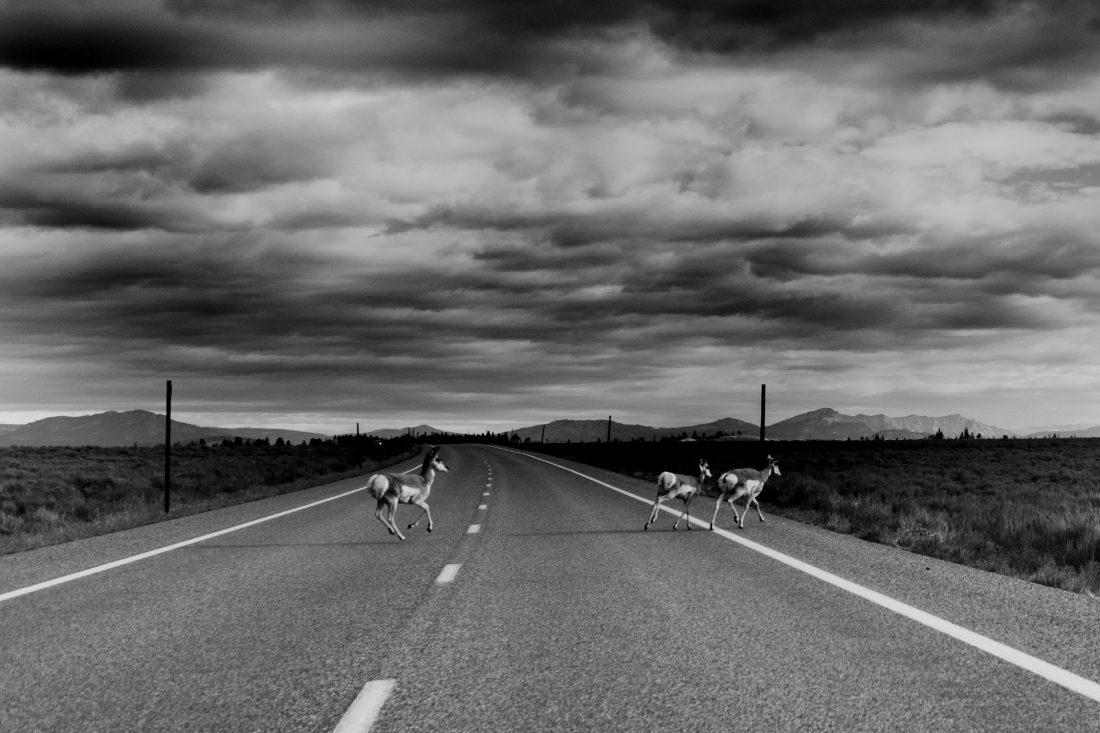 Across Country