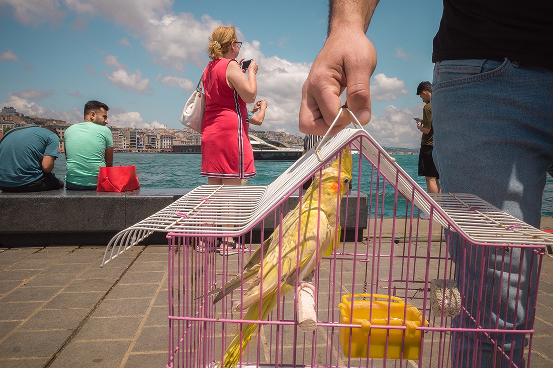 Did u sea Istanbul?