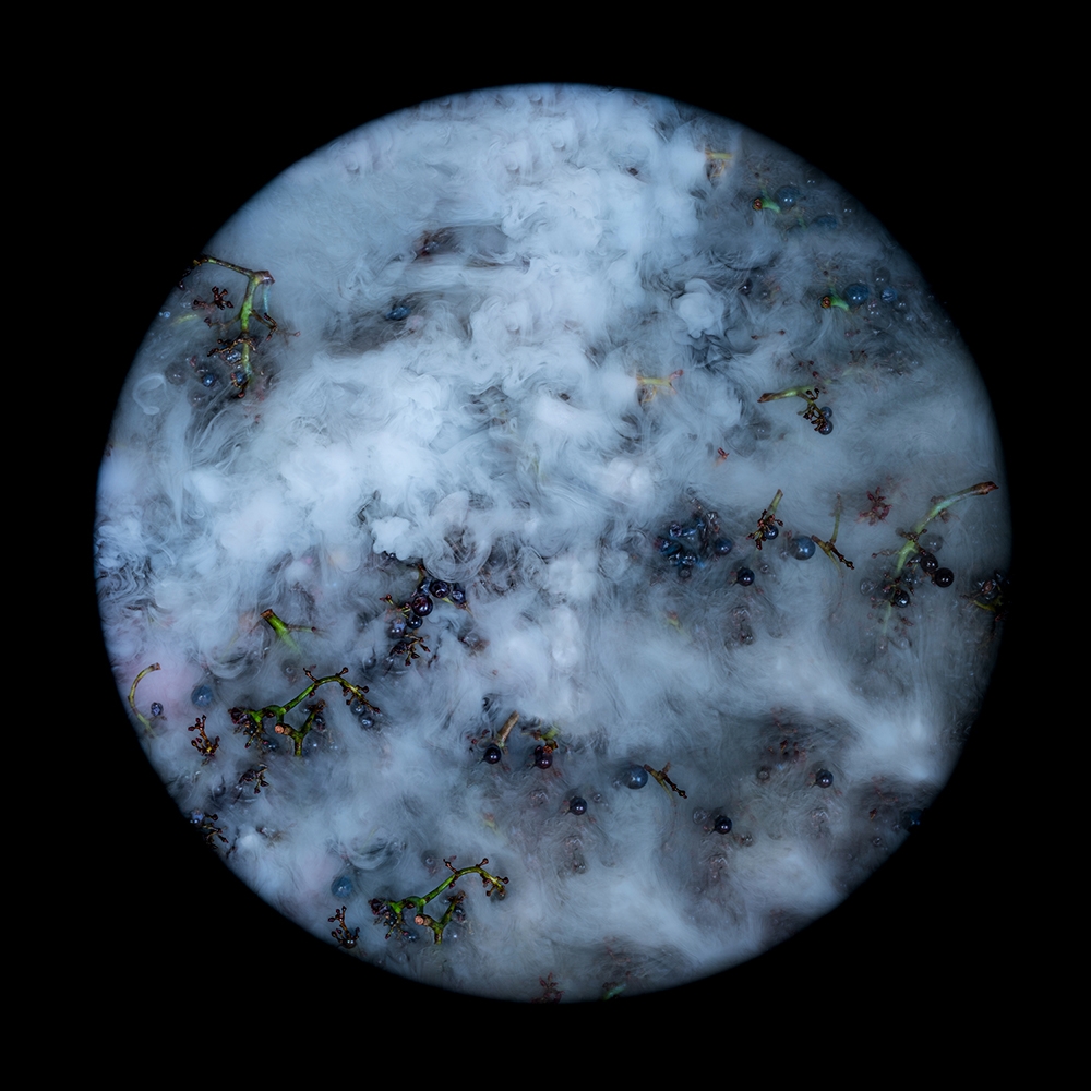 From Grape to Stars
