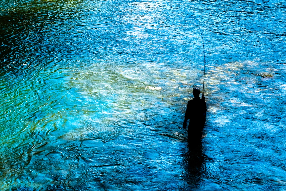 Fishing