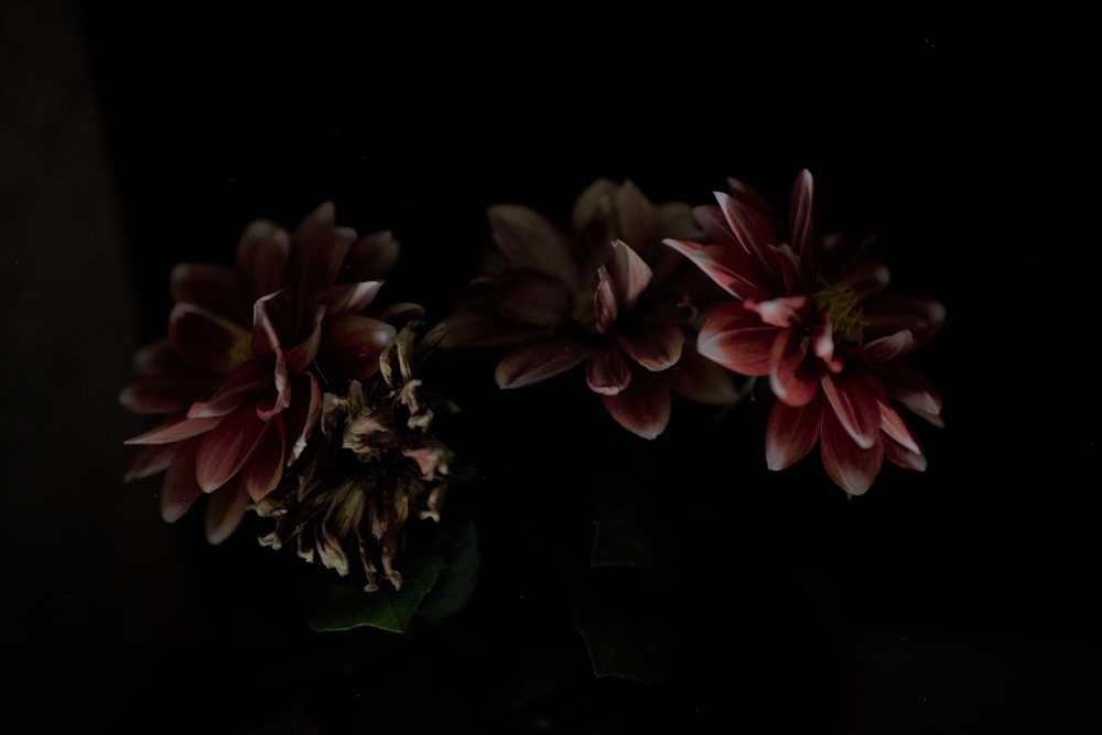 Strange place, the Night