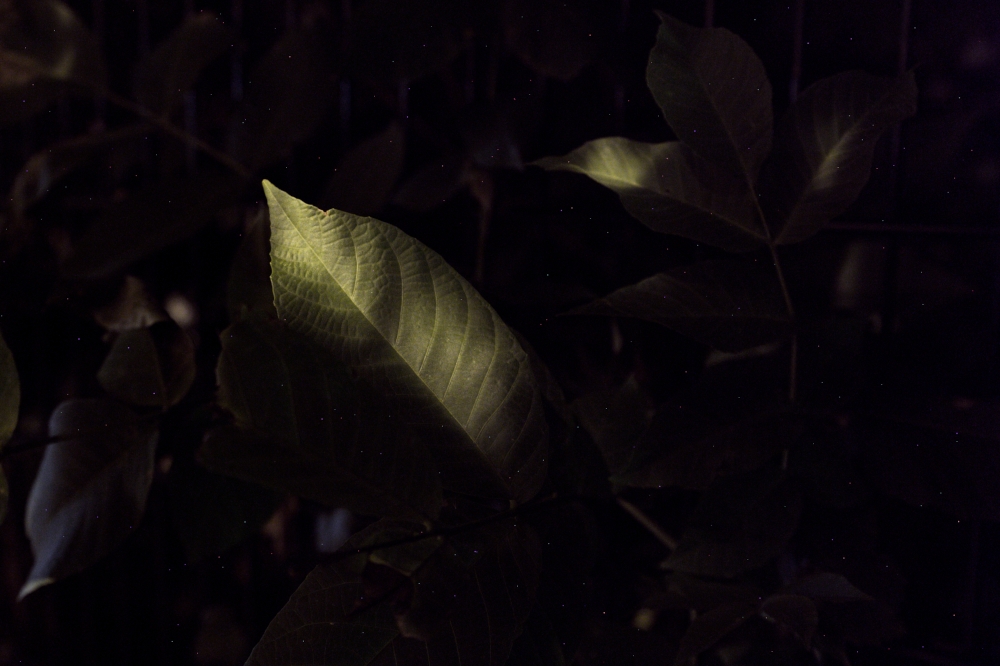 Strange place, the Night