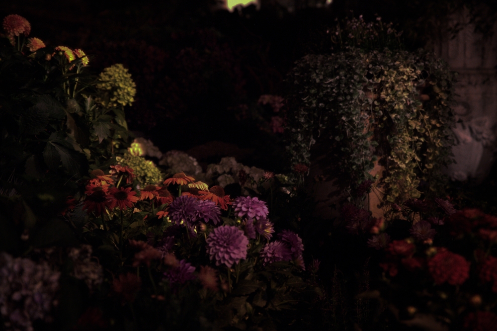 Strange place, the Night
