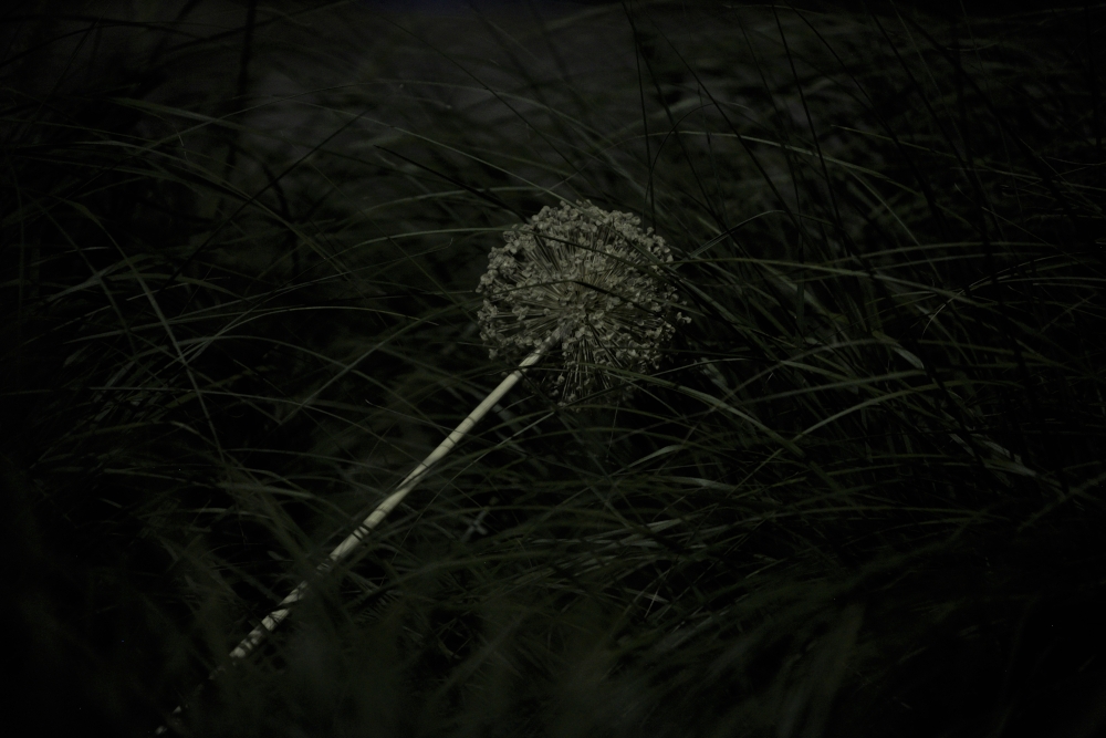 Strange place, the Night