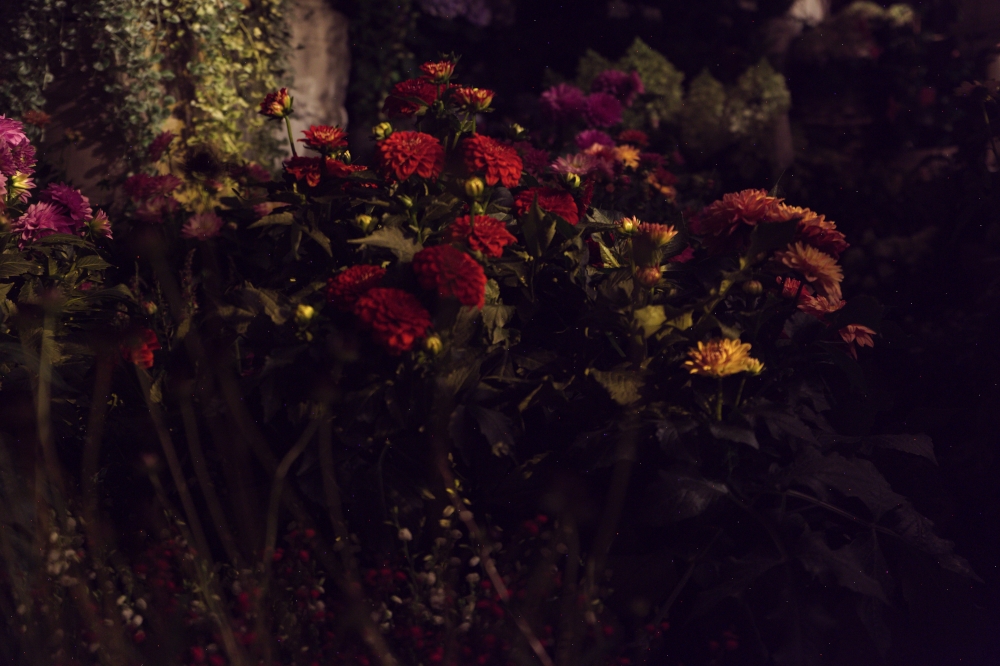 Strange place, the Night
