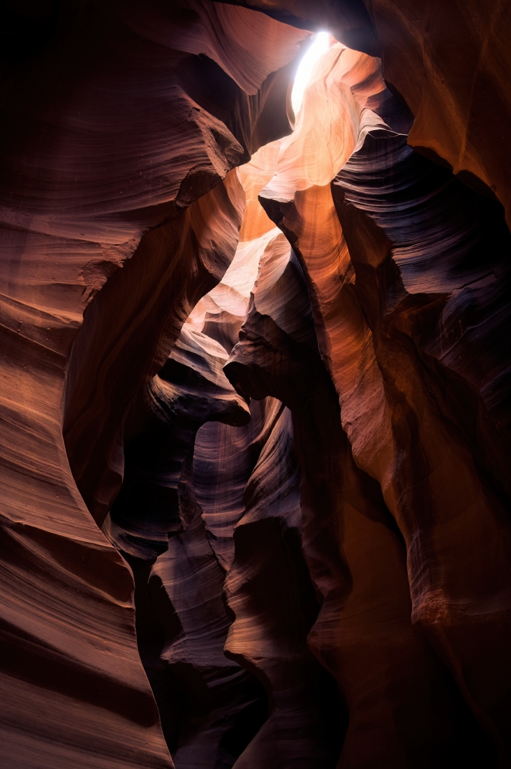 Treasures of the Antelope