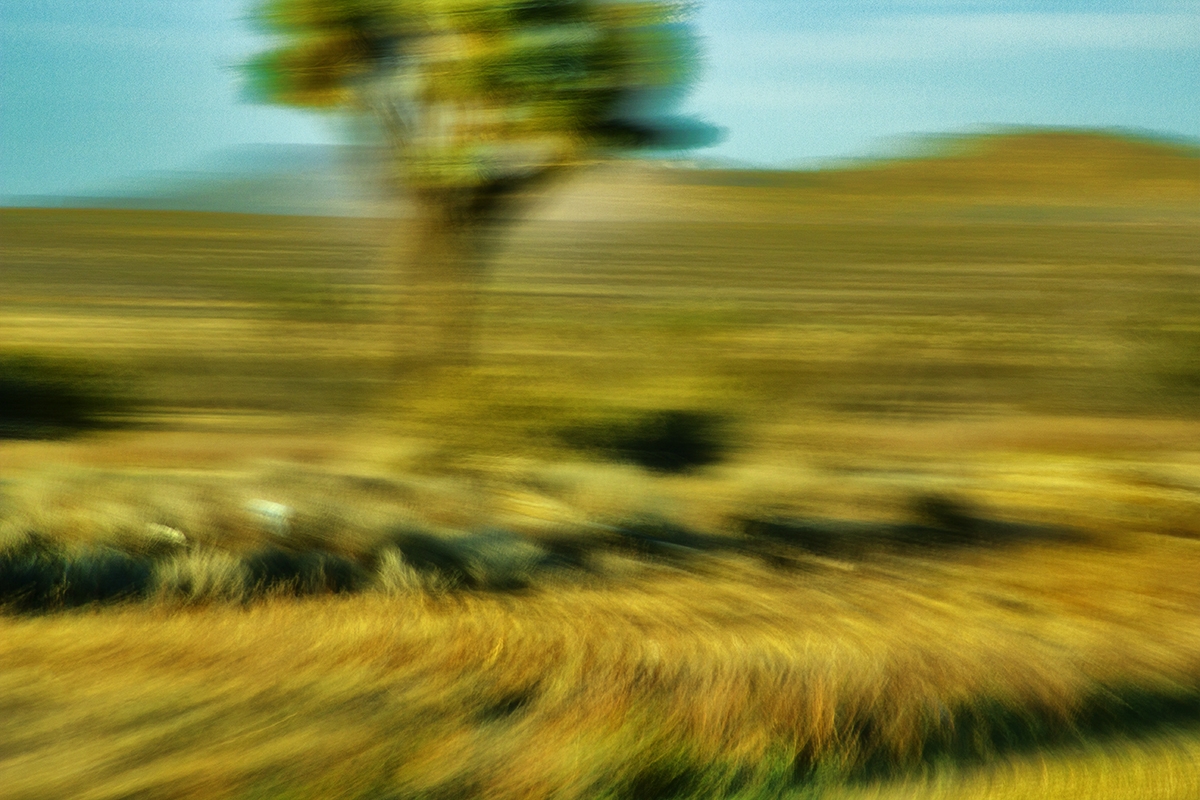 Kinetic Ambiguity Project, Land Series, Vistas Segment, Chapter One