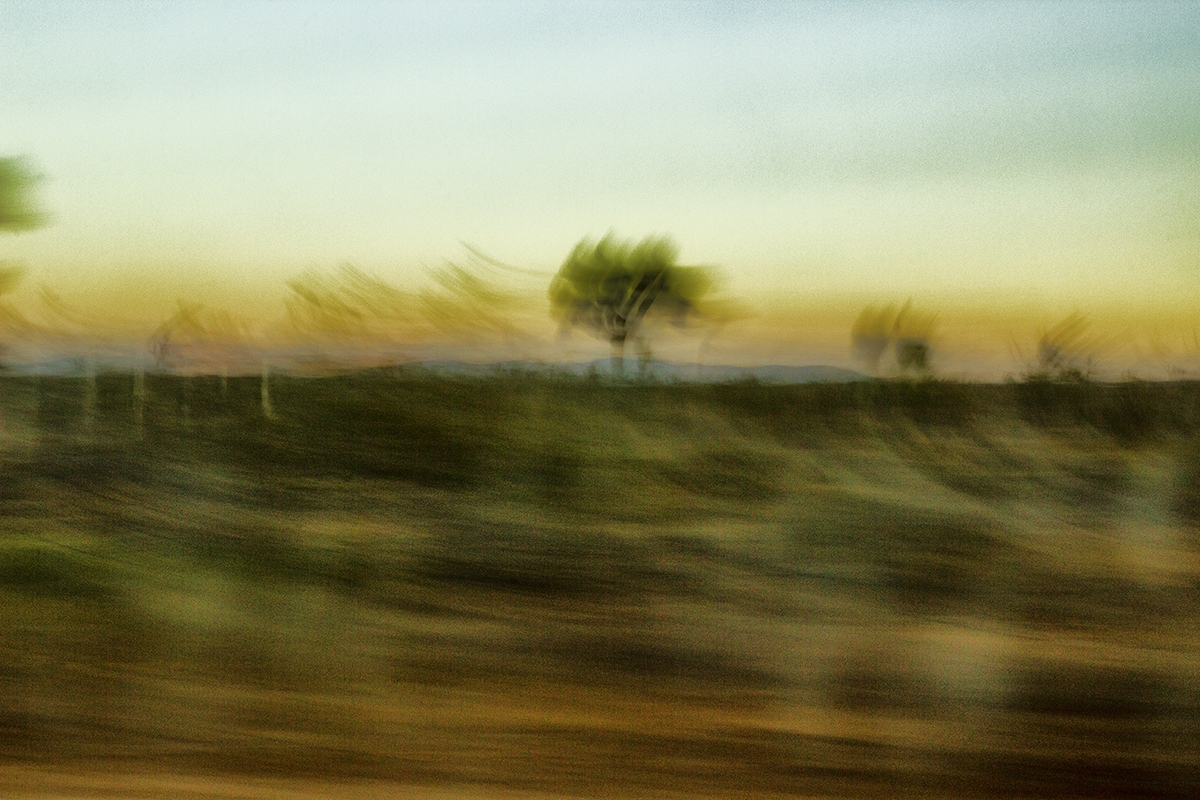 Kinetic Ambiguity Project, Land Series, Vistas Segment, Chapter One