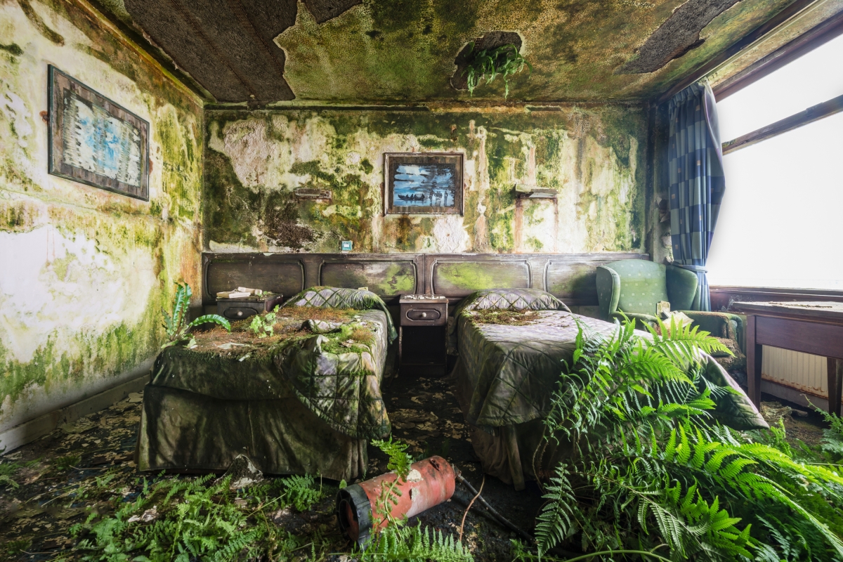Luxuria: The world without us
