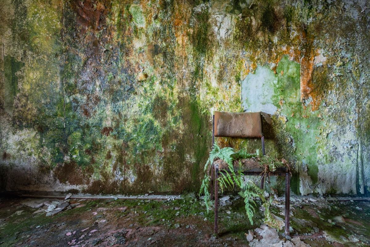 Luxuria: The world without us
