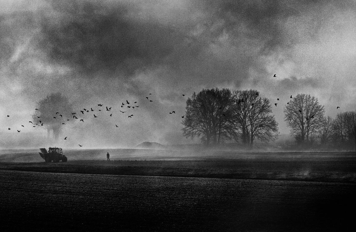 Landscape is an idea