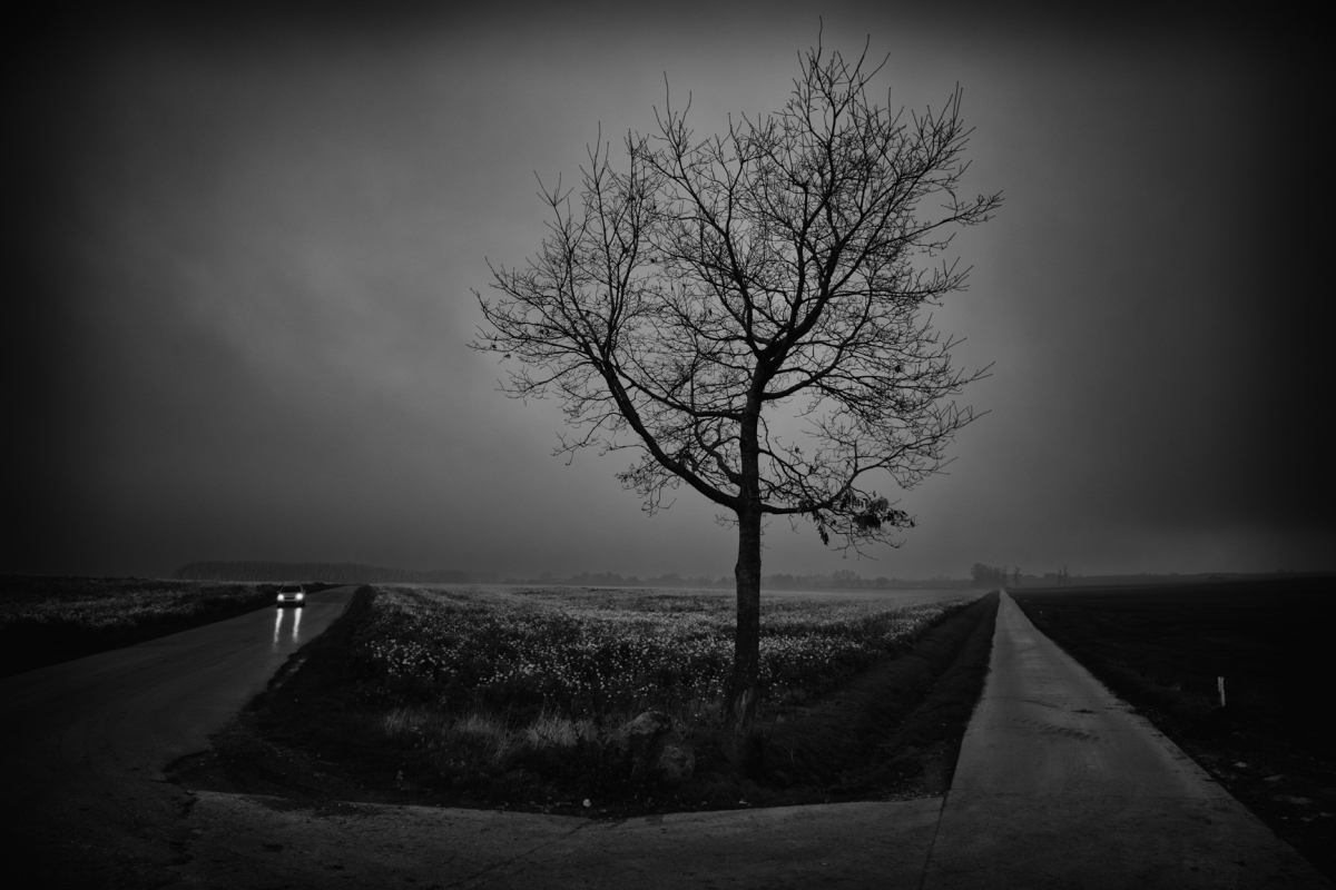 Landscape is an idea