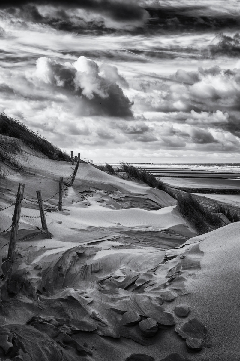 Landscape is an idea