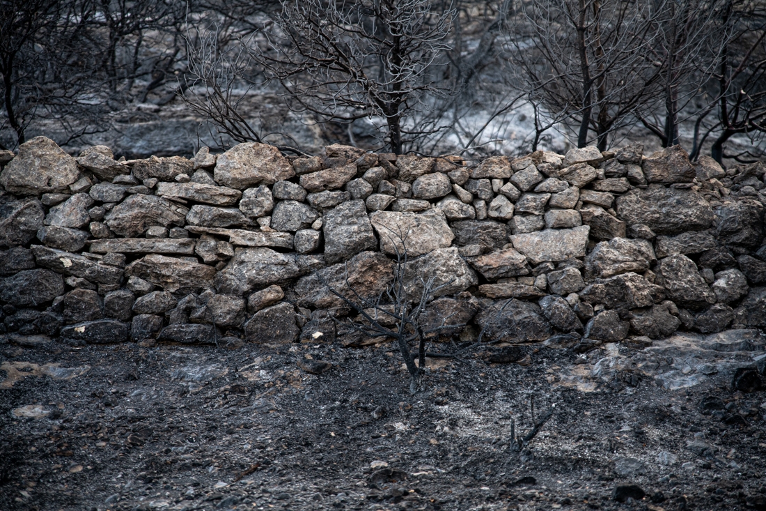 The villages that emerged from the ashes