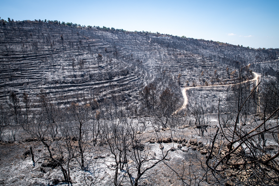 The villages that emerged from the ashes