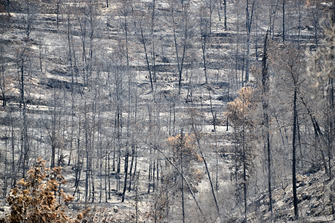 The villages that emerged from the ashes