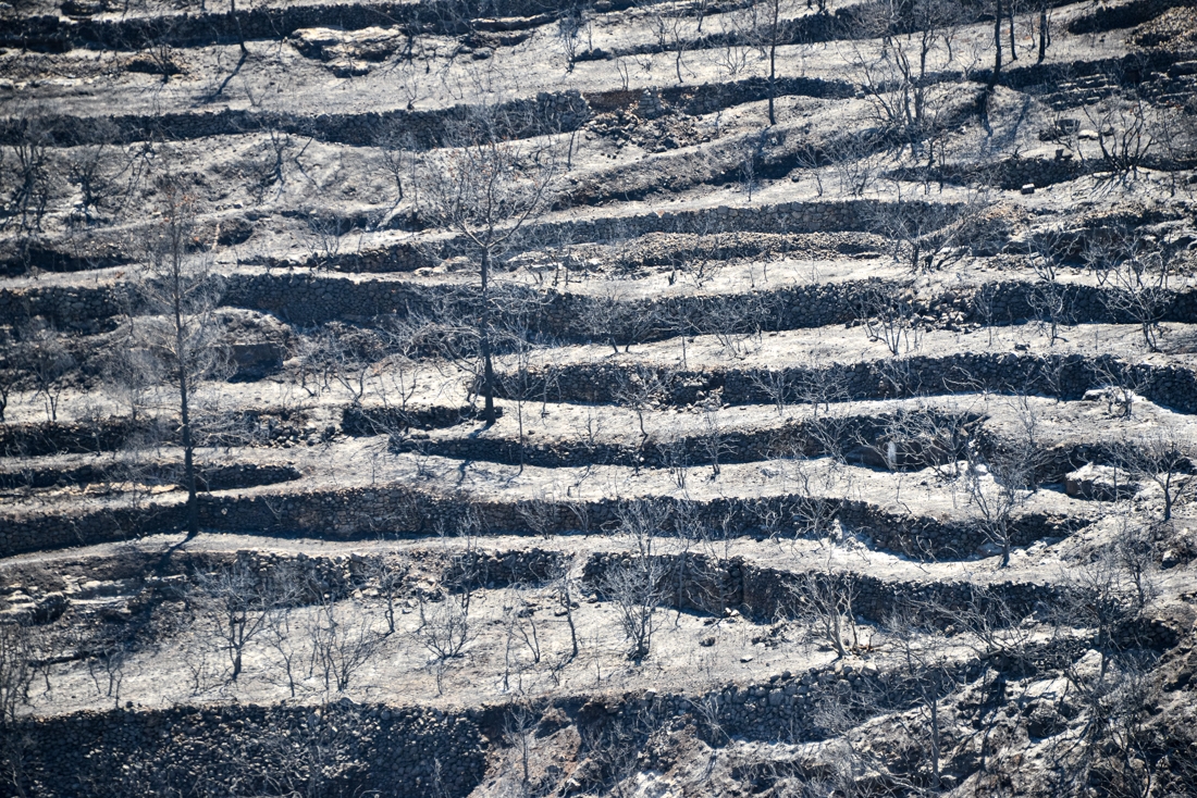 The villages that emerged from the ashes